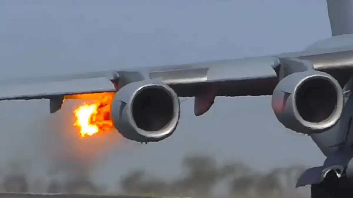 ¿Qué sucede cuando un pájaro vuela hacia el motor de un avión?
