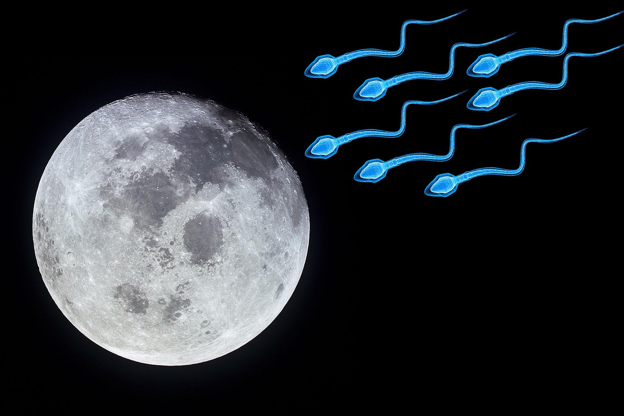 6,7 millones de espermatozoides volando a la Luna, sugiere una nueva investigación ...