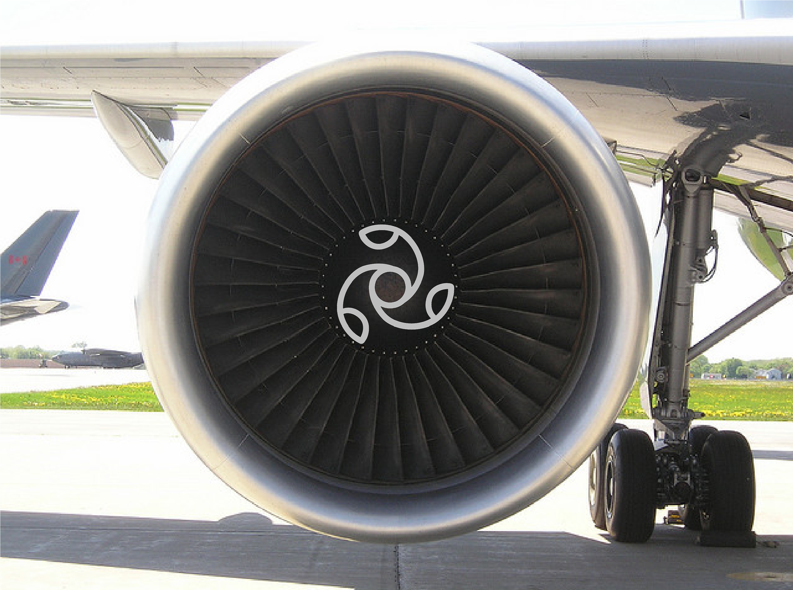 ¿Por qué los fabricantes de aviones no colocan una rejilla o una pantalla frente a los motores a reacción para evitar la ingestión de aves?