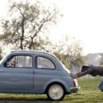5 coches que no durarán 100,000 kilómetros