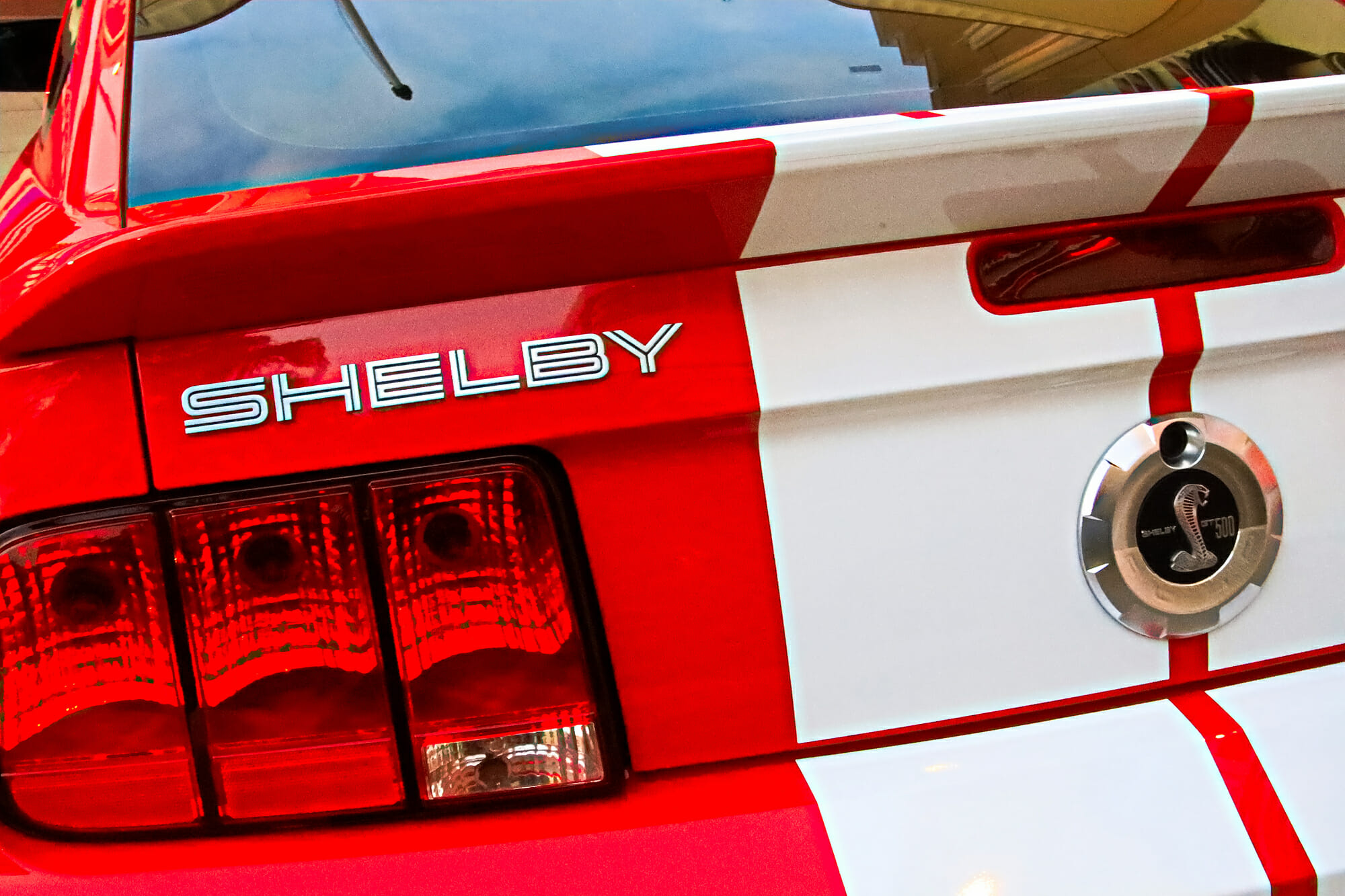 Logotipo del Ford Mustang Shelby GT500