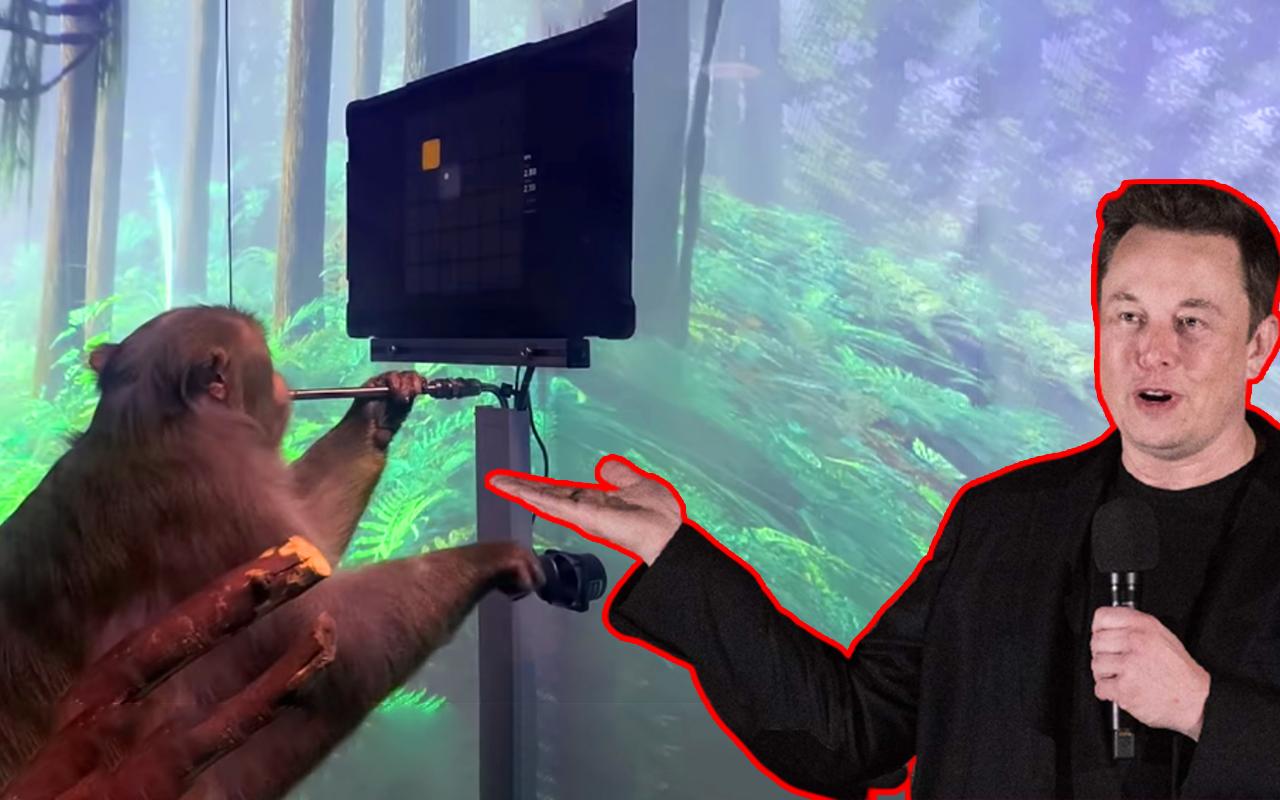 ¡Elon Musk presenta a su mono localizador jugando a un videojuego con su chip Neuralink insertado en el cerebro!