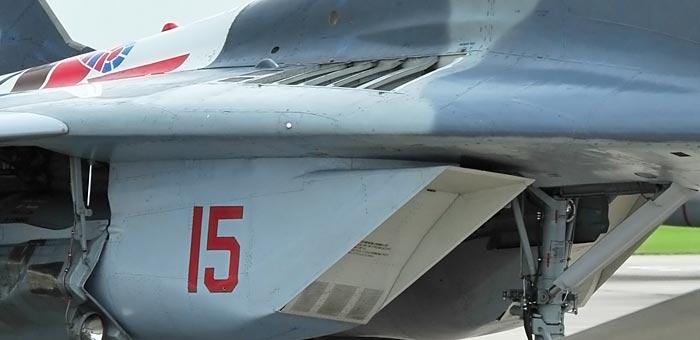 ¿Por qué los fabricantes de aviones no colocan una rejilla o una pantalla frente a los motores a reacción para evitar la ingestión de aves?