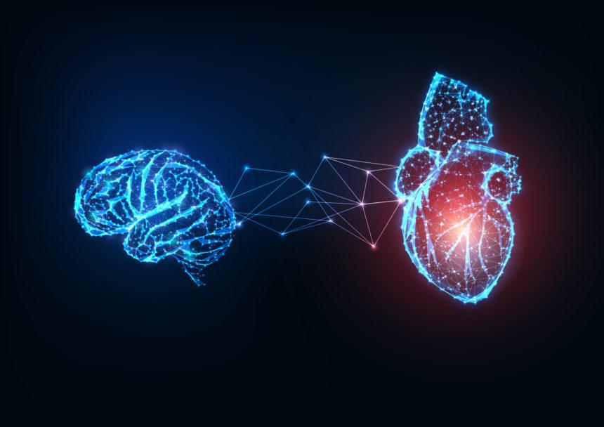 Un nuevo sistema de inteligencia artificial podría predecir cuándo es probable que mueran las personas