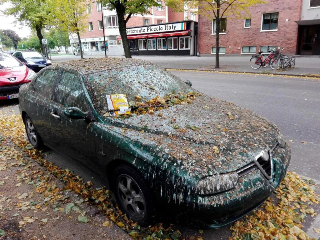 Comprar el coche más odiado de Internet para darle la vuelta