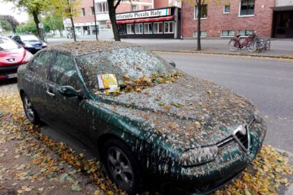 Comprar el coche más odiado de Internet para darle la vuelta
