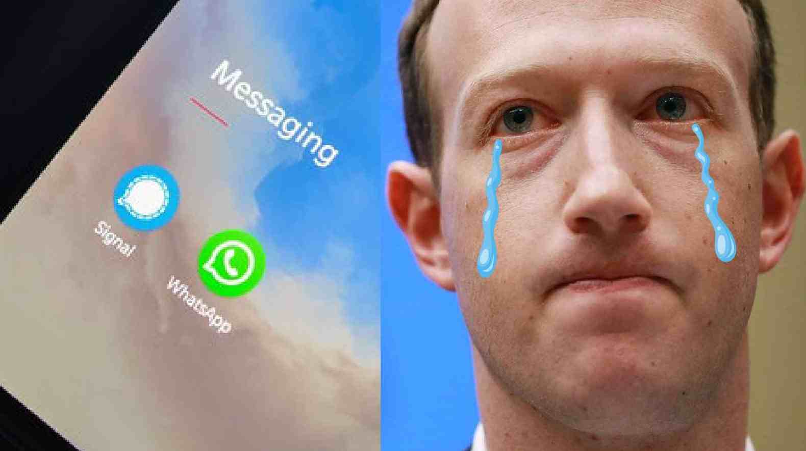 ¡La violación de datos de Facebook revela que Mark Zuckerberg está usando Signal en lugar de WhatsApp!