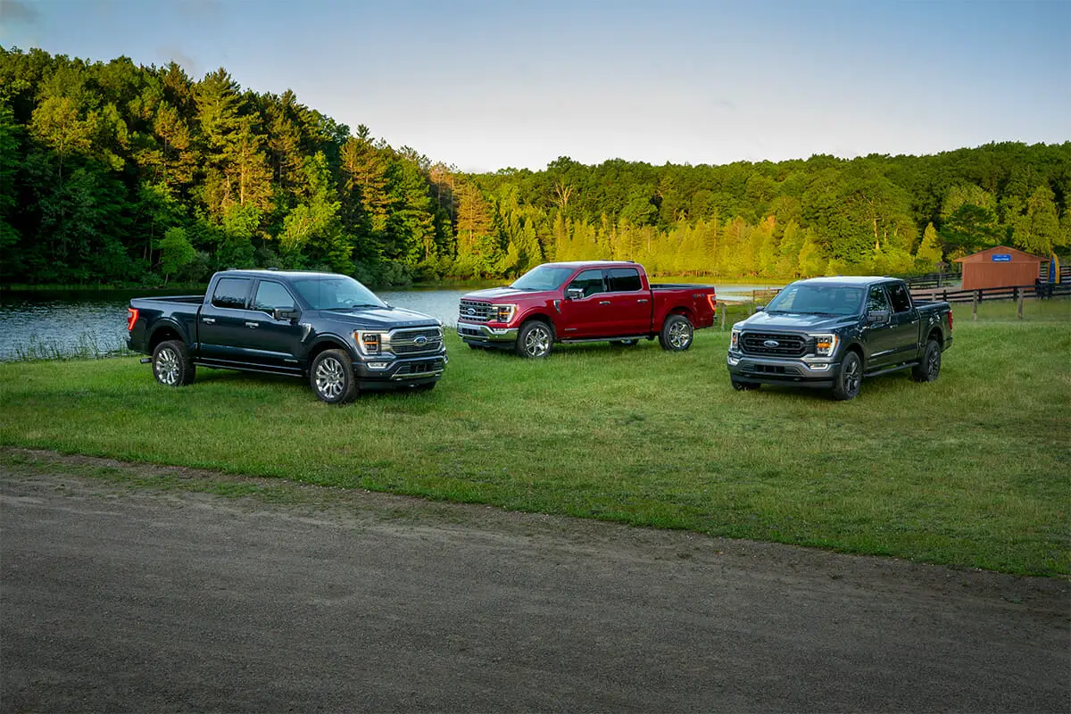 Grupo Ford F-150