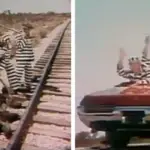 El icónico comercial de Pontiac de 1969: Chain Gang - Autos clásicos