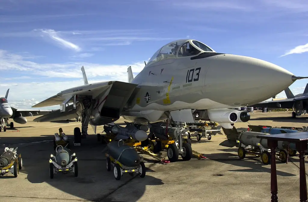 Armas F-14 Tomcat