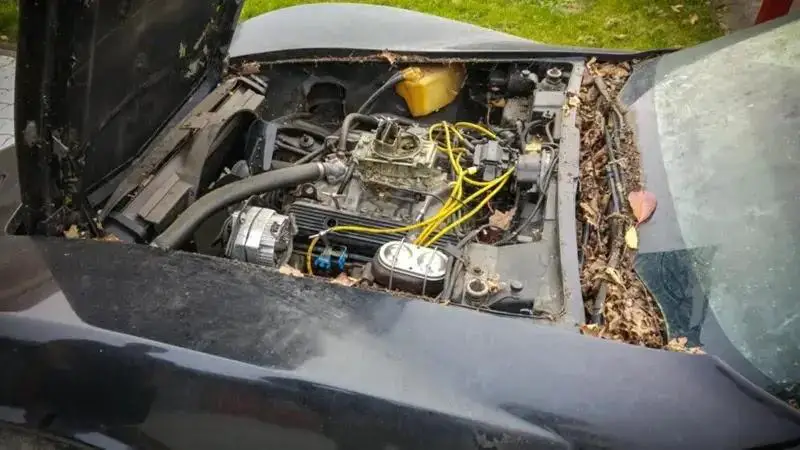 El C3 – C6 Fusion