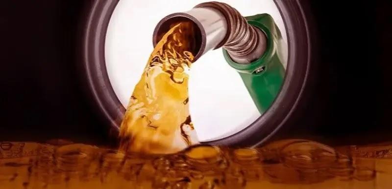 1- Tipo de combustible: