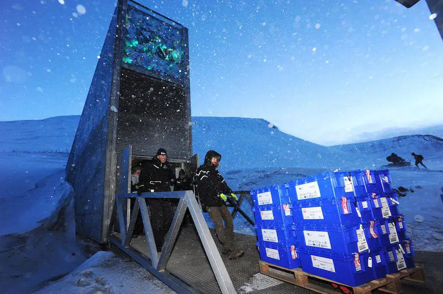 6,7 millones de espermatozoides volando a la Luna, sugiere una nueva investigación ...